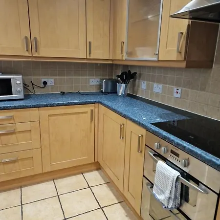 公寓 蒂斯瓦利公寓 *